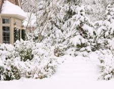 Image for Let It Snow: 4 Reasons To Keep Content Marketing Alive In the Holidays