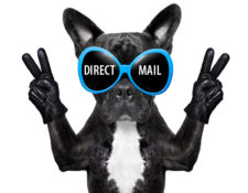 Image for Direct Mail for Non-Profits: It’s Not About Being Cool